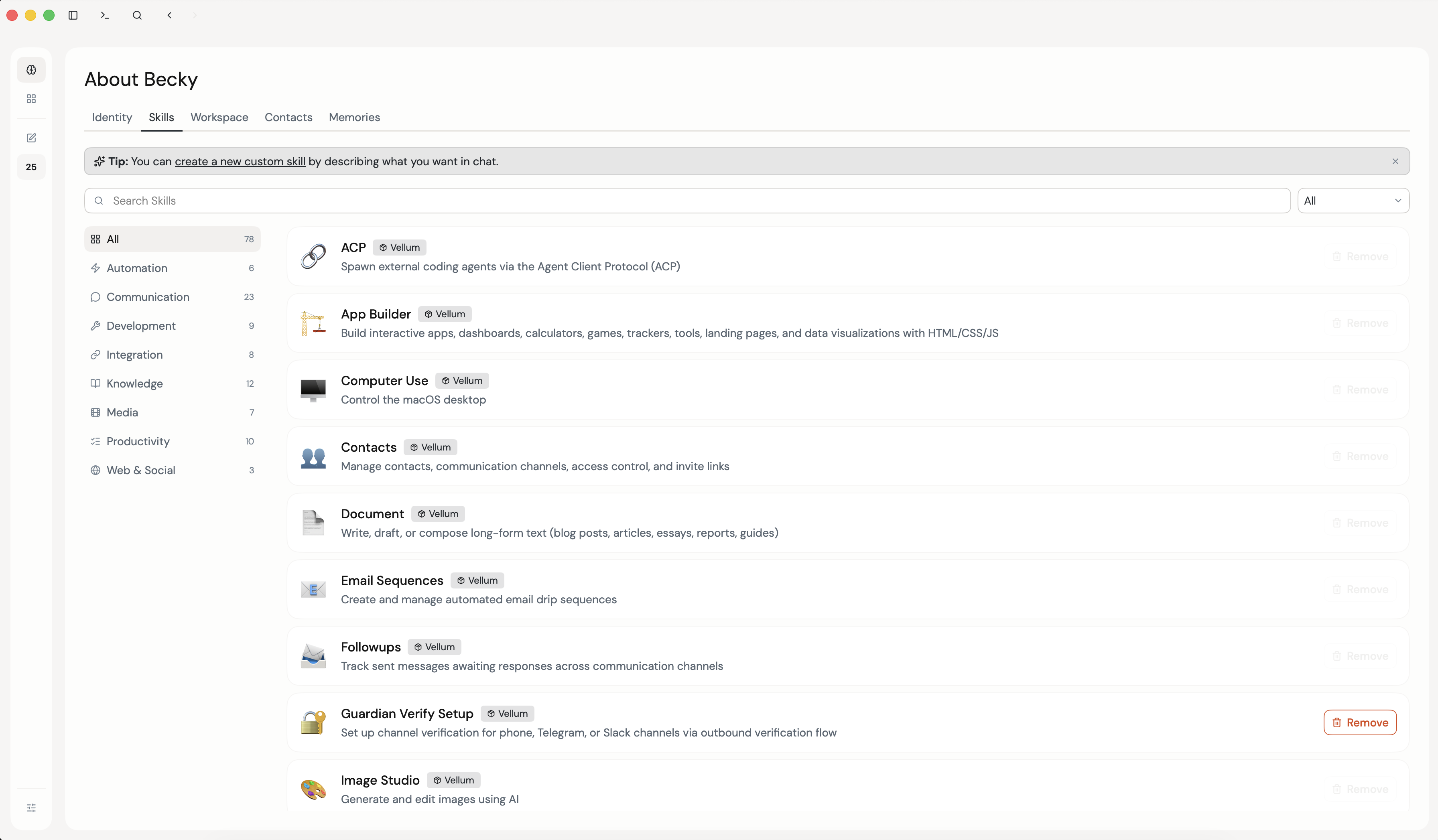 The Skills tab on the About your assistant screen, showing the list of installed skills with icons, descriptions, and category filters in the sidebar