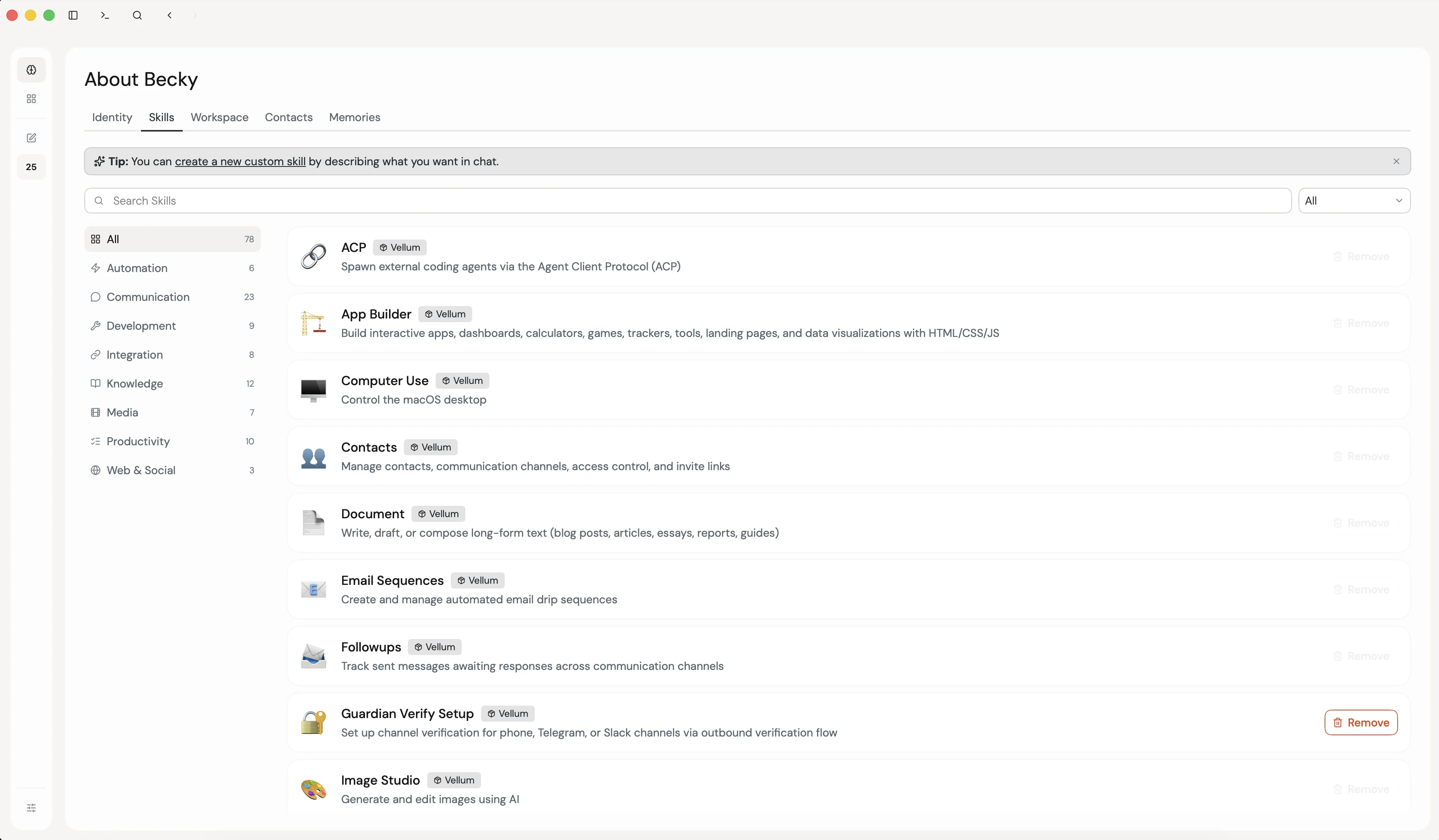 The Skills tab on the About your assistant screen, showing the list of installed skills with icons, descriptions, and category filters in the sidebar